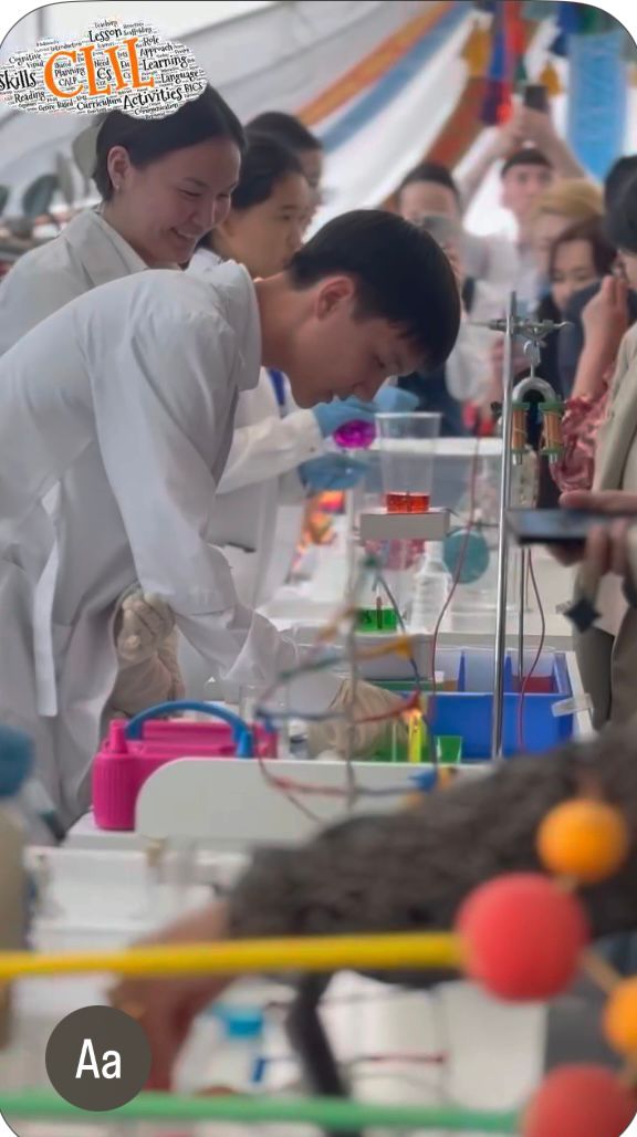 CLIL (Content and Language Integrated Learning)